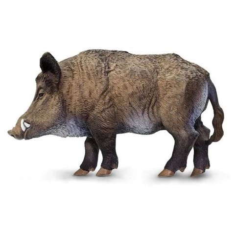 Cinghiale