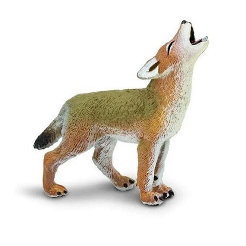 Coyote Cucciolo