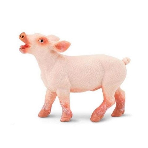 Maialino
