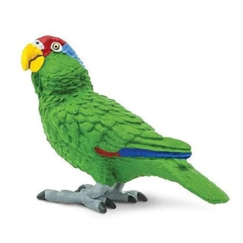 Pappagallo Verde