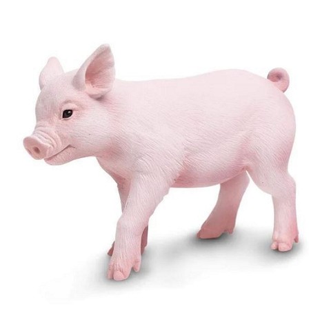 Porcellino