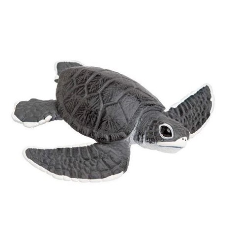 Tartaruga Marina Baby