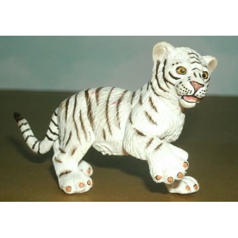 Tigre Bianca Cucciolo