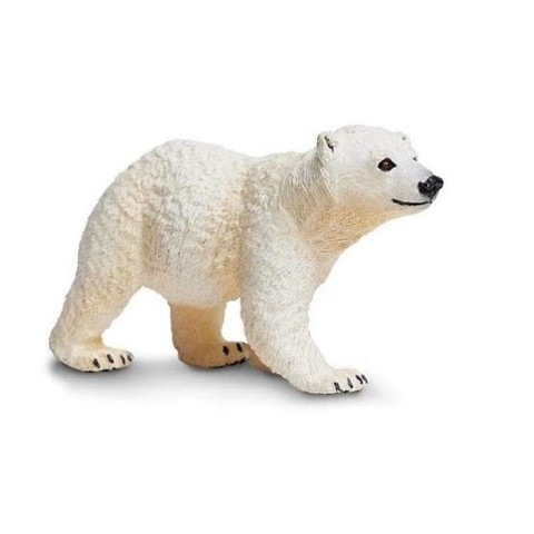 Orso Polare Cucciolo