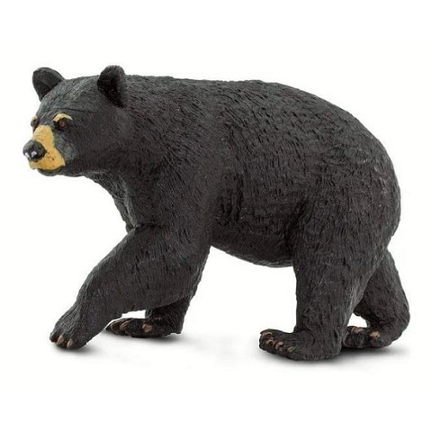 Orso Nero