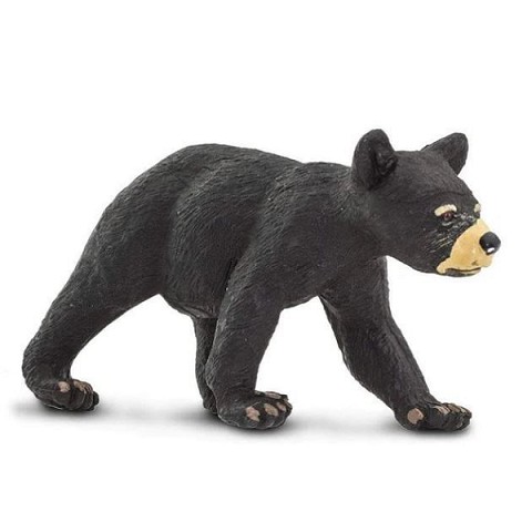 Orso Nero Cucciolo