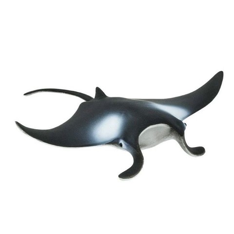 Manta Ray