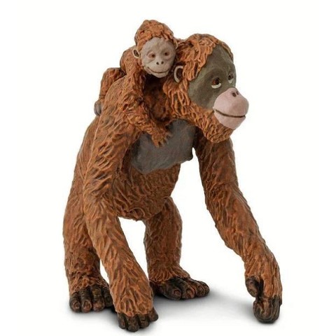 Orango con Cucciolo