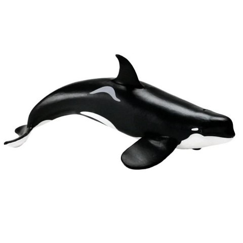 Orca di Tipo D