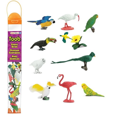 Tubo TOOB® Uccelli Esotici